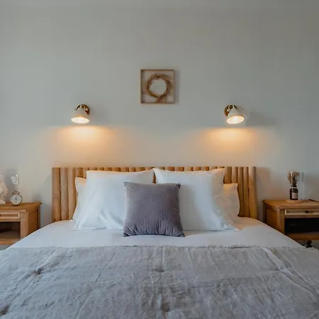 L'abbaye Saint-Cyprien (Dordogne)